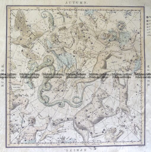16-253  Celestial – Star system by Middleton  c.1842