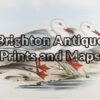 20-404 - Jamesons Gull John Gould - circa 1840-48 Hand coloured lithograph 53cm X 37cm Condition A+