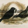 20-410 - Satin Bower-bird G Broinowski - circa 1891 Chromolithograph 34cm X 24cm Condition A+