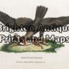20-417 - Australian Wedge-tailed Eagle Barrington - circa 1802 Hand coloured copperplate engraving 18cm X 12cm Condition A+