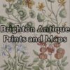 21-224  Botanical by Sweert - circa 1612