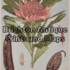 21-302  Australian Botanical by Maiden