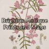 21-307 Australian Botanical by Maiden