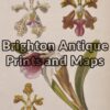 21-349  Botanical by Withers