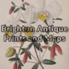 21-352  Botanical by Withers
