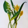 21-368  Botanical - Lilly of the Valley  c.1870