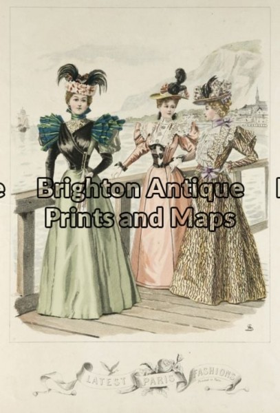 23-289 – Decorative – Fashion Queen – circa 1881 Hand coloured lithograph 22cm X 29cm