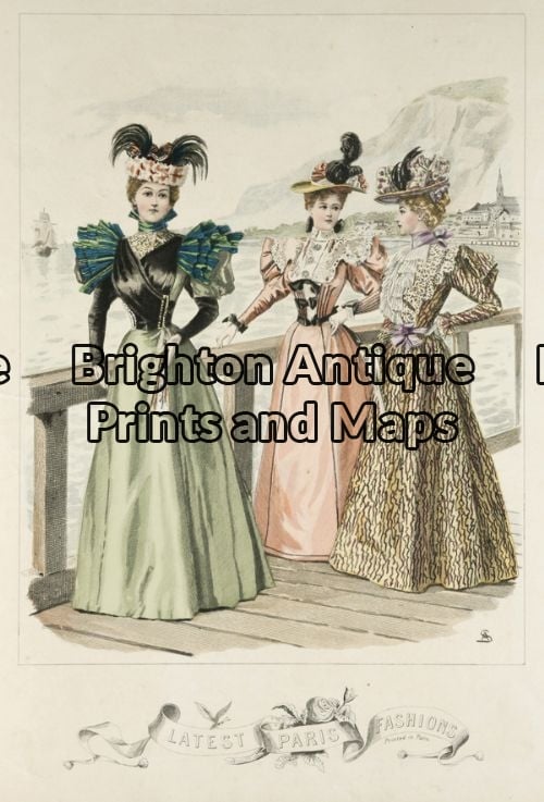Antique Print 23-289 - Decorative - Fashion Queen - circa 1881 Hand  coloured lithograph 22cm X 29cm