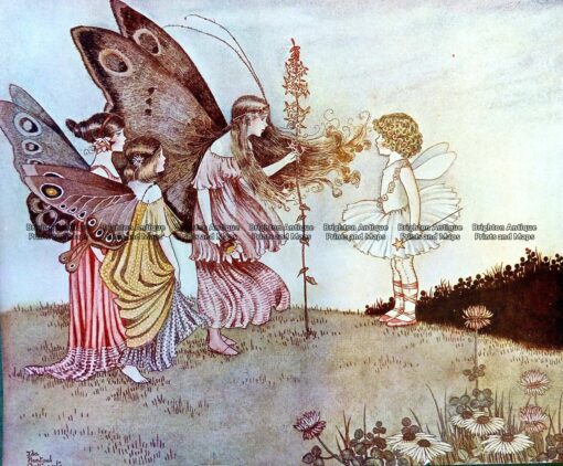 23-325  Elves and Fairies by Outhwaite c.1916