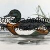 24-402 - John Gould Birds of Australia Chestnut-coloured Shieldrake John Gould - circa 1840 - 1848 Hand coloured lithograph 53cm X 37cm Condition A+