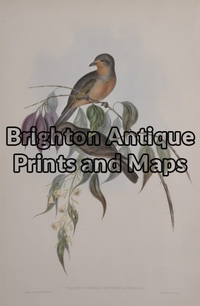 24-405  John Gould Birds of Australia 1840 – 48