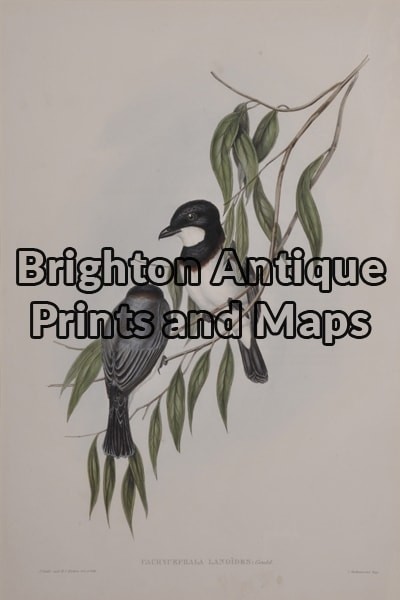 24-406  John Gould Birds of Australia circa 1840 – 48