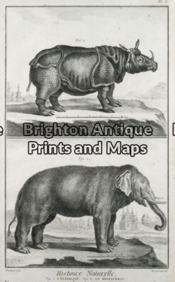 25-304 - Animals - Rhino and Elephant Buffon - circa 1770 Copperplate engraving 20cm X 33cm Condition A+