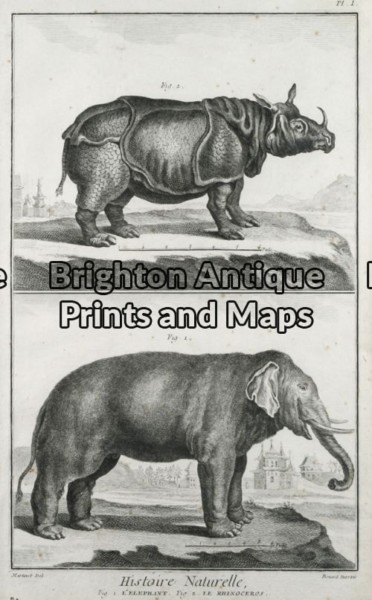 25-304 – Animals – Rhino and Elephant Buffon – circa 1770 Copperplate engraving 20cm X 33cm Condition A+