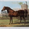 25-308 - Animal- horse Cassell - circa 1880 Chromolithograph 23cm X 15cm Condition A+