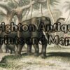 25-311 - Animal - Elephant Goldsmith - circa 1862 Hand coloured engraving 20cm X 12cm Condition A+