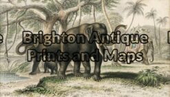 25-311 - Animal - Elephant Goldsmith - circa 1862 Hand coloured engraving 20cm X 12cm Condition A+