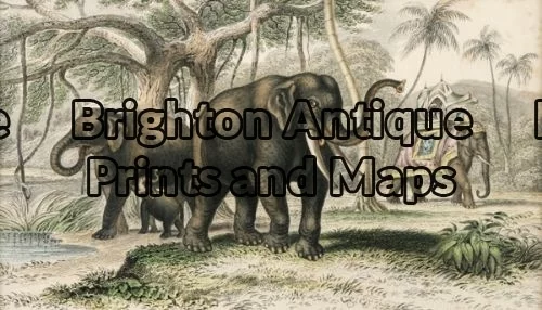 25-311 – Animal – Elephant Goldsmith – circa 1862 Hand coloured engraving 20cm X 12cm Condition A+