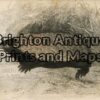 25-312 - Animal - Australian Mammal Echidna Lizars - circa 1850 Hand coloured engraving 14cm X 9cm Condition A+