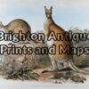 25-315 - Animal - Red Wallaroo John Gould - circa 1845 - 1863 Hand coloured lithograph 52cm X 35cm Condition A+