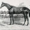 25-316 - Animal - Horse Racing Melbourne Cup S T Gill - circa 1867 Wood engraving 23cm X 18cm Condition A+