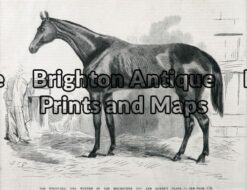 25-316 - Animal - Horse Racing Melbourne Cup S T Gill - circa 1867 Wood engraving 23cm X 18cm Condition A+