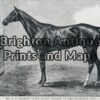 25-317 - Animal - Horse Racing Caulfield Cup F Sleap - circa 1884 Wood engraving 22cm X 15cm Condition A+