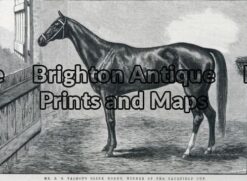 25-317 - Animal - Horse Racing Caulfield Cup F Sleap - circa 1884 Wood engraving 22cm X 15cm Condition A+