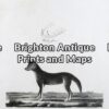 25-318 - Animal - Dingo A Phillip - circa 1789 Copperplate engraving 19cm X 26cm Condition A+