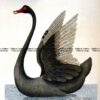 25-343  Black Swan by Nodder & Shaw  c.1792