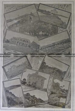 26-369  Mornington and Mount Martha c.1893
