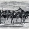 26-638 - Horse Racing Anon - circa 1876 Wood engraving 35cm X 22cm Condition A+