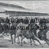 26-640 - Horse Racing - Melbourne Cup Anon - circa 1883 Wood engraving 30cm X 21cm Condition A+