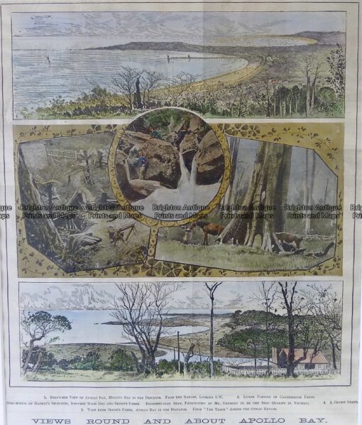 26-643  Apollo Bay Victoria c.1893