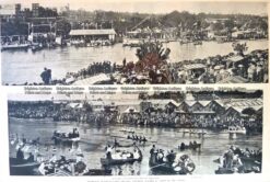 26-648  Rowing Henley on Yarra Regatta c