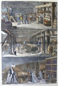 26-659  Greiffenhagen in Winery in Victoria  c.1878