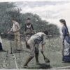 26-662  Tennis in Australia  c.1882