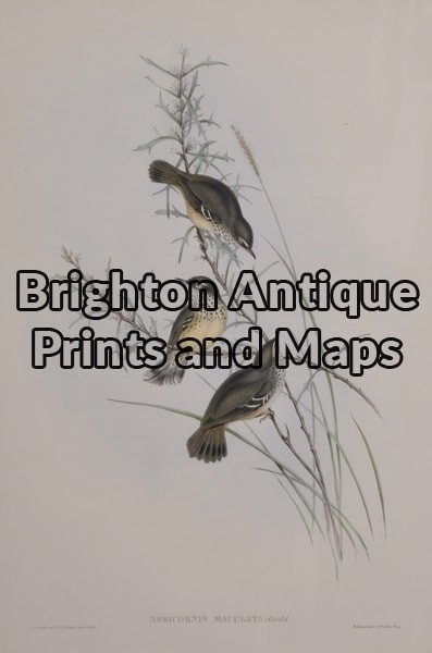 28-407 John Gould Birds of Australia
