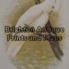 28-411  Bloodstained Cockatoo by Broinowski circa 1887-1891