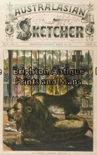 29-461 – Melbourne – Melbourne Zoo Anon – circa 1875 Hand coloured wood engraving 23cm X 26cm Condition A+
