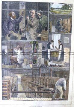 29-471  Melbourne Wine Cellar  c.1882