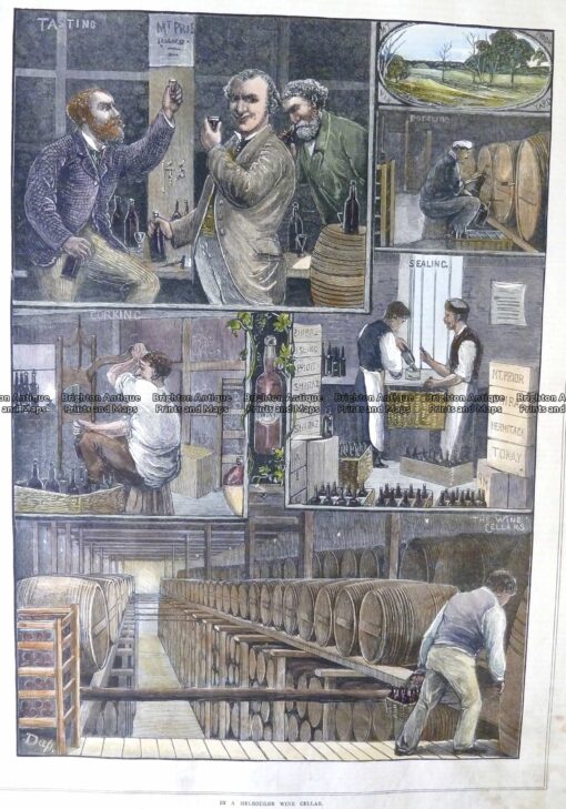 29-471  Melbourne Wine Cellar  c.1882