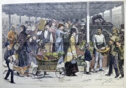 29-474  Victoria Market in Melbourne  c.1879