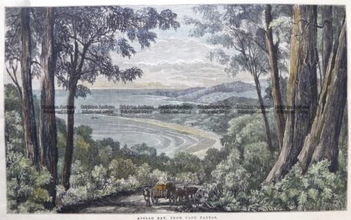 29-475  Apollo Bay in Victoria  c.1879