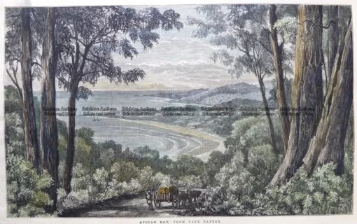 29-475  Apollo Bay in Victoria  c.1879