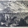 29-478  Mt Macedon bush fire  c.1875