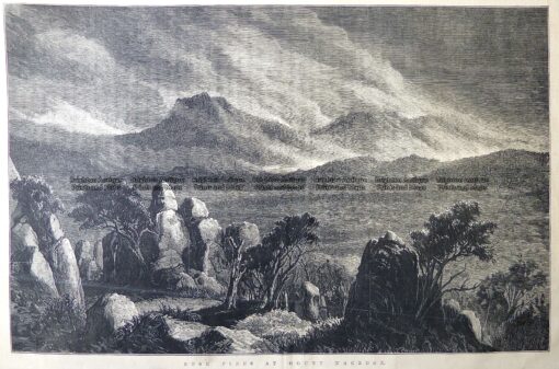 29-478  Mt Macedon bush fire  c.1875