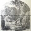29-479  Mount Macedon  c.1866