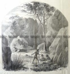29-479  Mount Macedon  c.1866