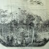 29-481  Dryden's Rock Mount Macedon  c.1867